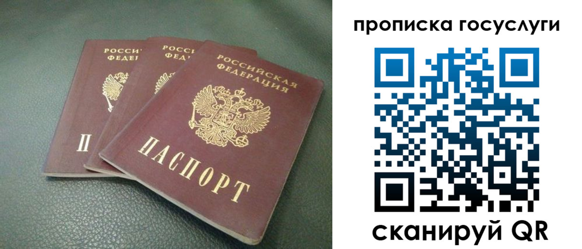 временная регистрация госуслуги в Челябинской области